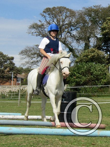 Moo super showjumper (5)