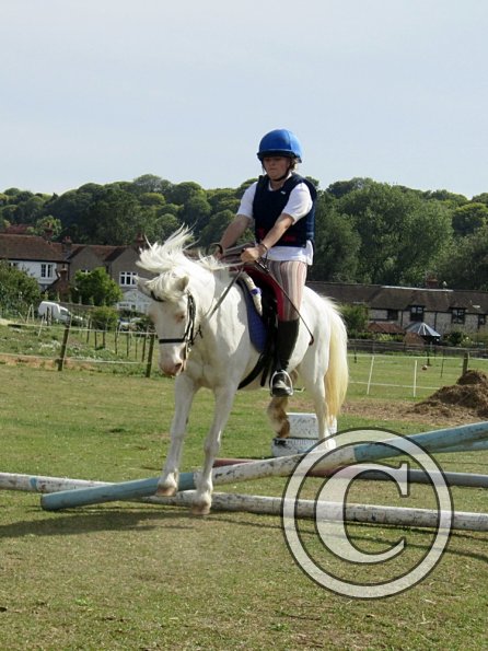 Moo super showjumper