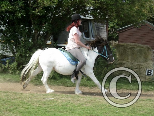 Reggie canter (2)