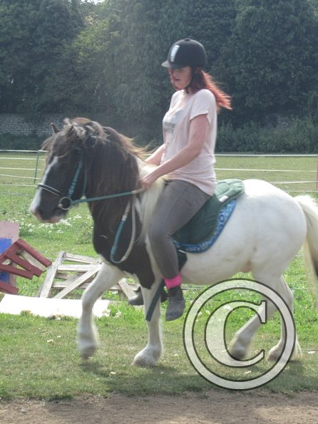 Reginald the Great (2)