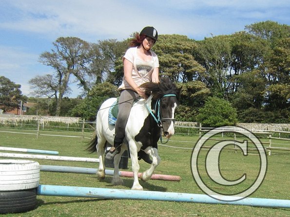 Reginald the Great (5)