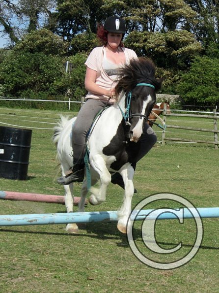 Reginald the Great (6)