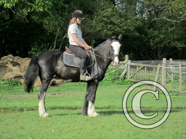 Felicity and Jessie (3)