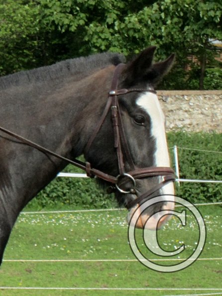 Felicity and Jessie (4)