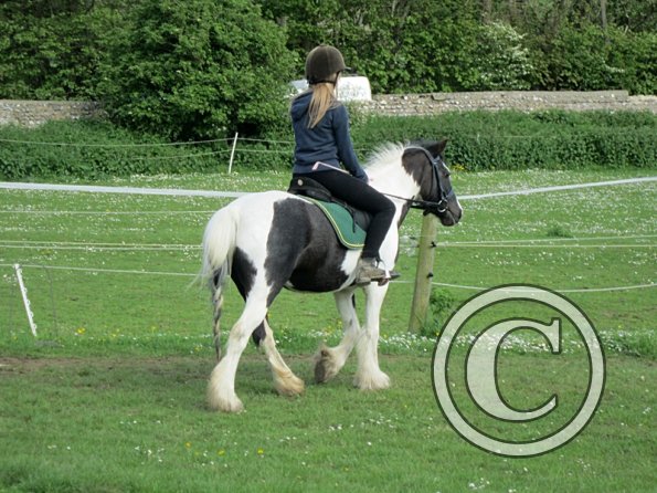 Libby and Willow (2)