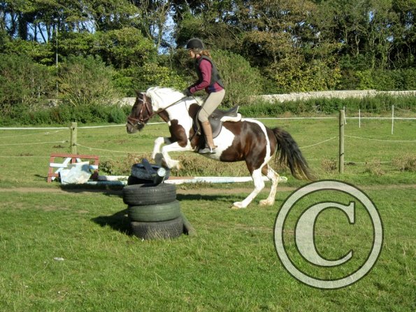 Random clinic pics (11)