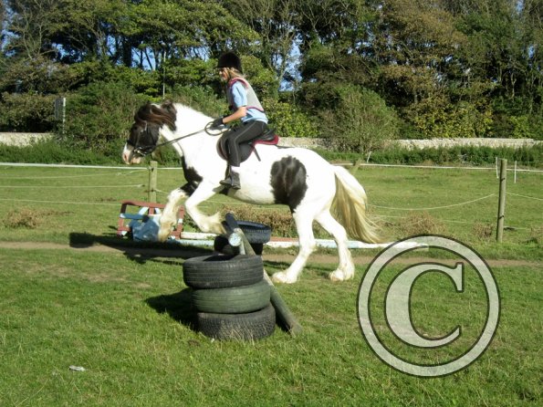 Random clinic pics (12)