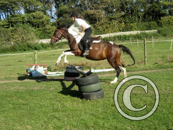 Random clinic pics (13)