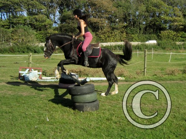 Random clinic pics (14)