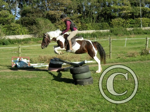 Random clinic pics (15)