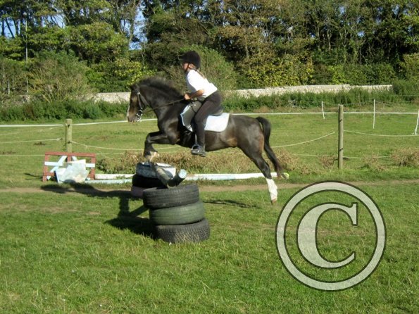 Random clinic pics (16)