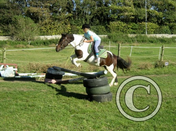 Random clinic pics (17)