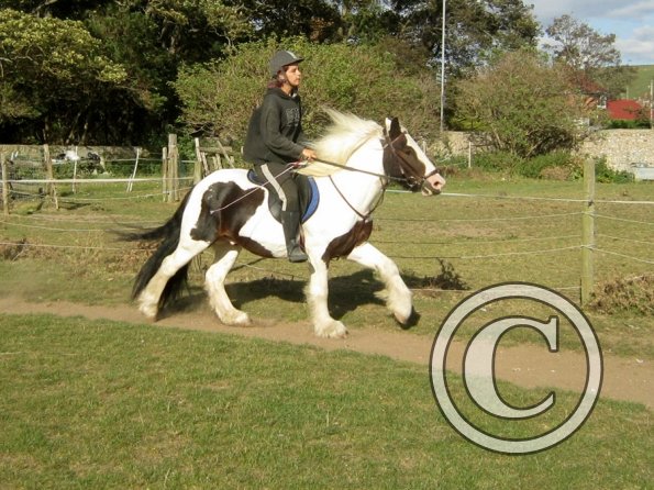 Random clinic pics (18)