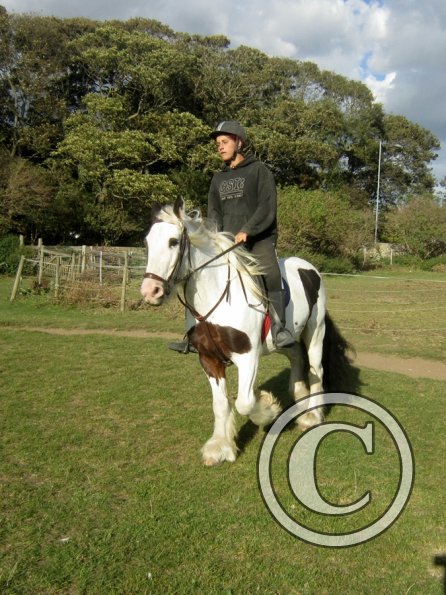 Random clinic pics (19)