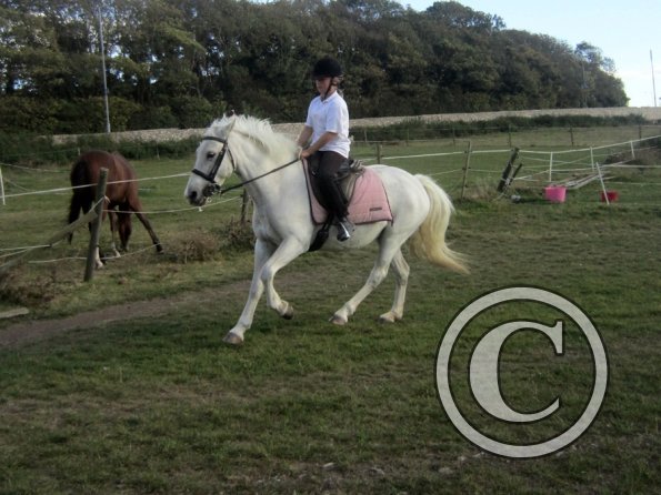 Random clinic pics (20)