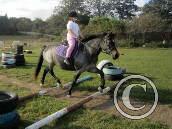 Random clinic pics (21)