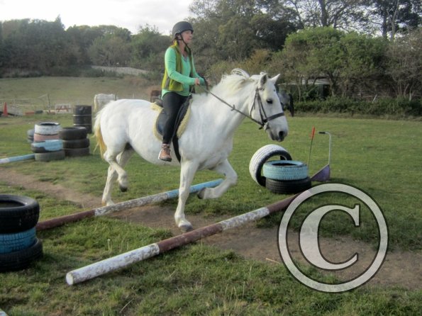 Random clinic pics (24)