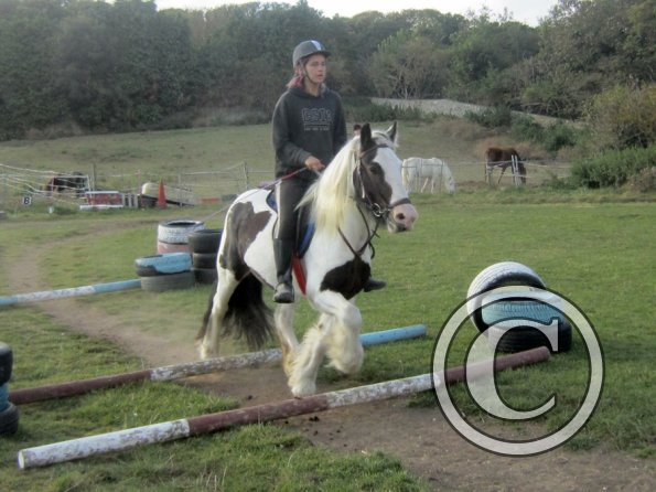 Random clinic pics (25)