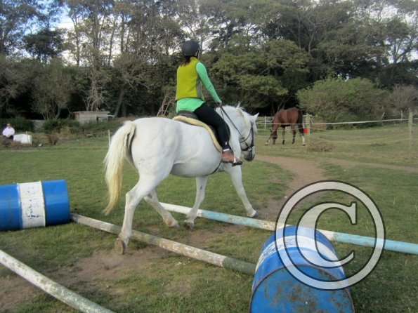 Random clinic pics (26)