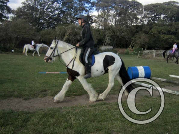 Random clinic pics (27)