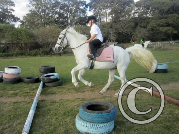 Random clinic pics (29)