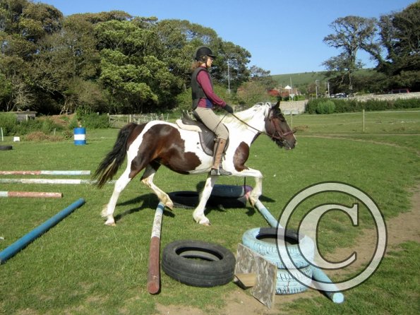 Random clinic pics (3)