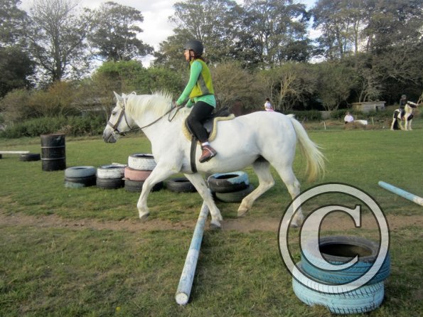 Random clinic pics (30)