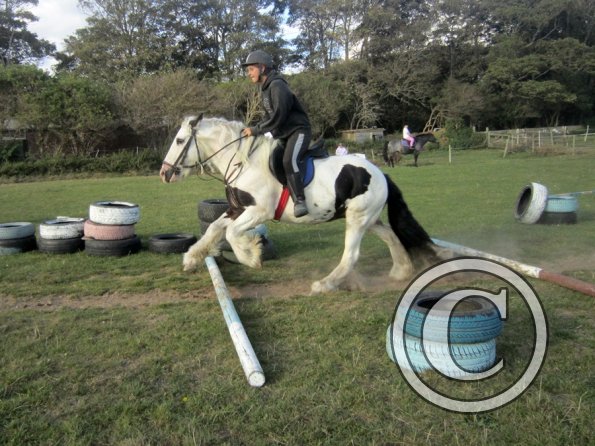 Random clinic pics (31)