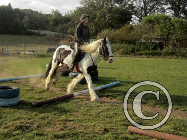 Random clinic pics (32)