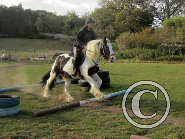 Random clinic pics (33)