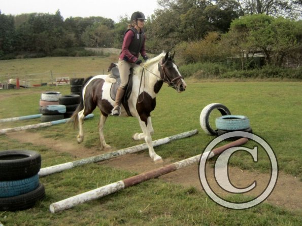 Random clinic pics (37)