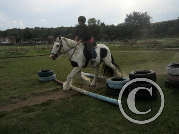 Random clinic pics (38)