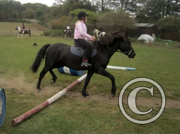 Random clinic pics (39)