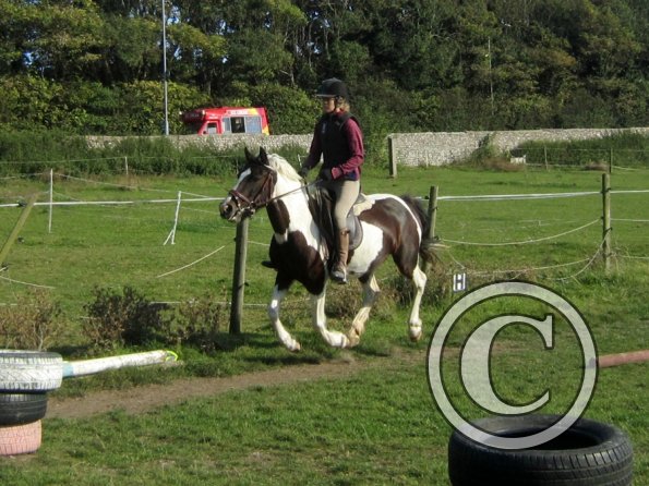 Random clinic pics (4)