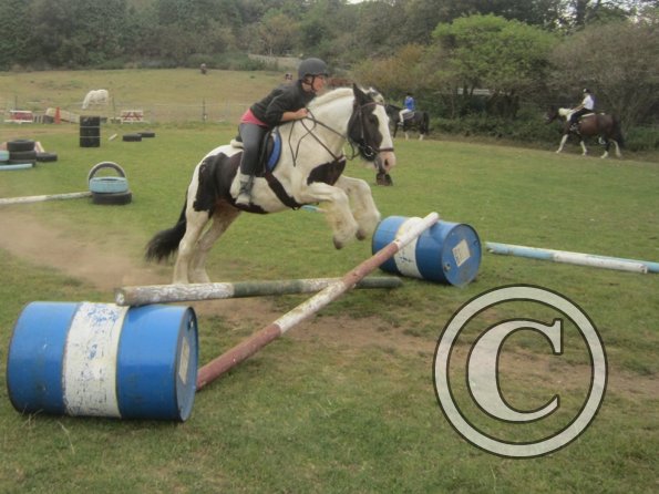 Random clinic pics (40)