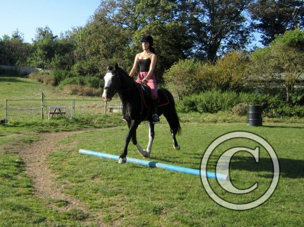 Random clinic pics (5)