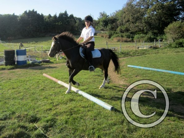 Random clinic pics (6)