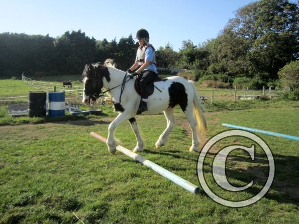 Random clinic pics (7)