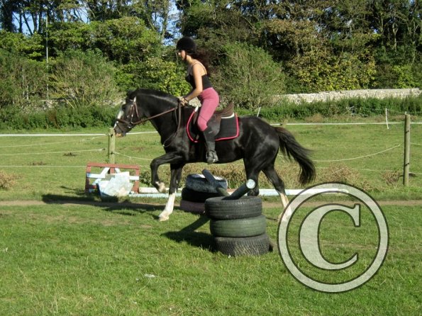 Random clinic pics (8)