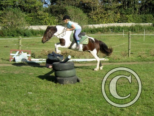 Random clinic pics (9)