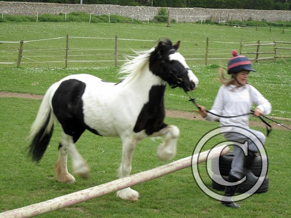 Sometimes I dont know who Im training