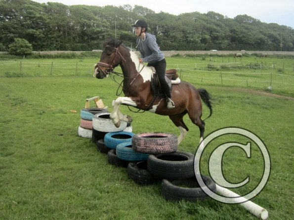 Daisy Mouse and Mia (10)