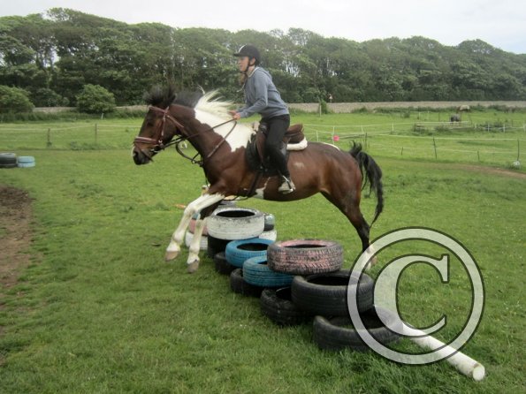 Daisy Mouse and Mia (11)