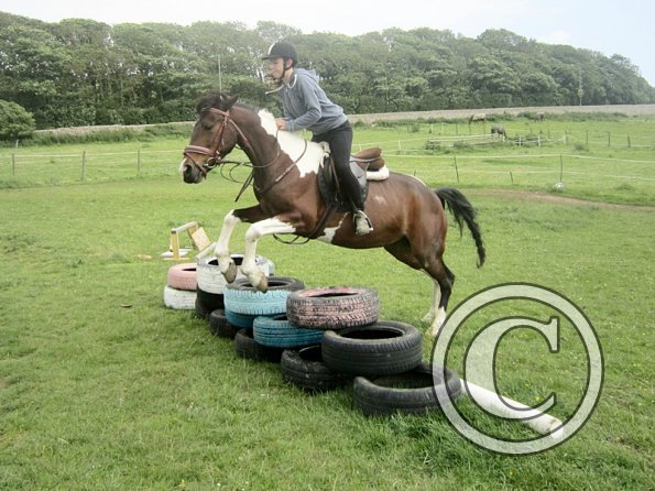 Daisy Mouse and Mia (12)