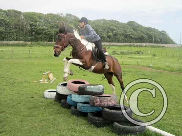 Daisy Mouse and Mia (14)