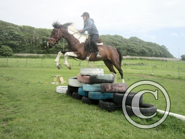 Daisy Mouse and Mia (15)