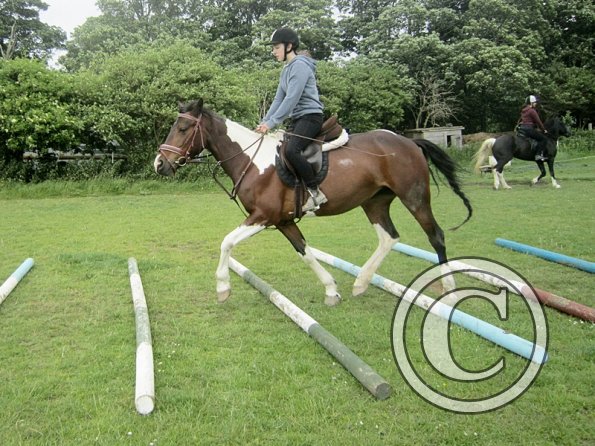 Daisy Mouse and Mia (2)