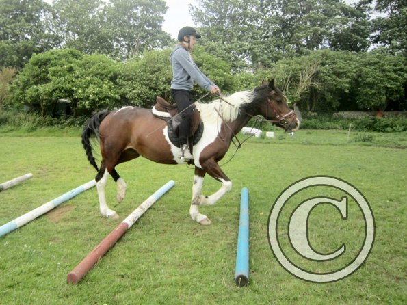 Daisy Mouse and Mia (3)