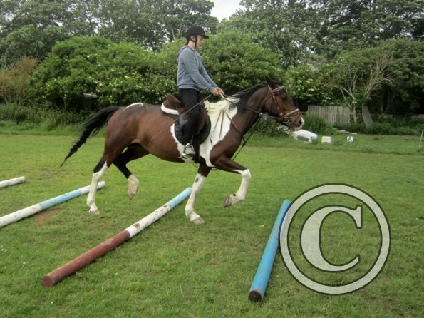 Daisy Mouse and Mia (4)