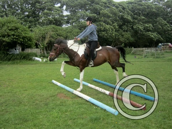 Daisy Mouse and Mia (6)